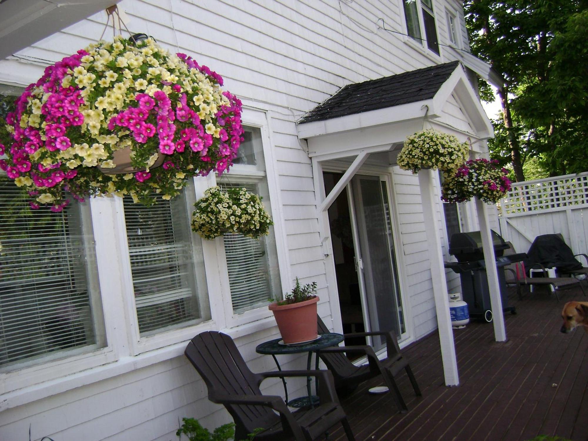 Lakelawn B&B And Motel 야머스 외부 사진